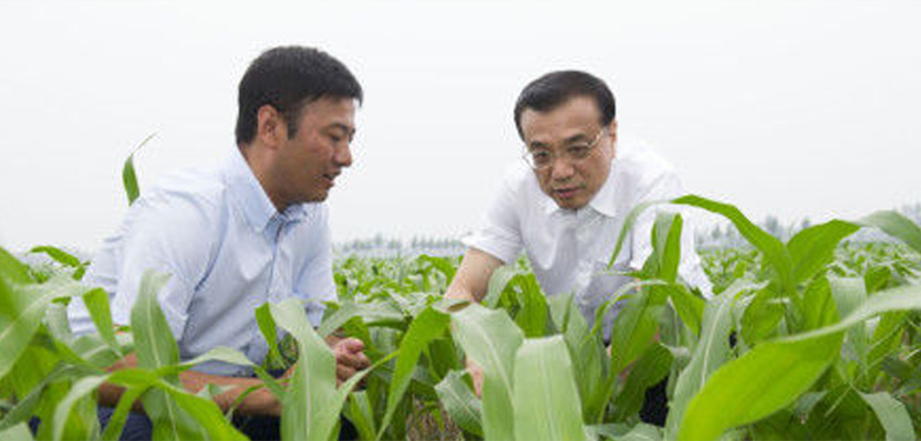 一号文件解读：中国要强 农业必须强